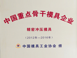 中國重點骨干模具企業(yè)